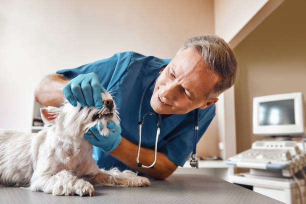 Best Emergency Tooth Extraction in Gahanna, OH